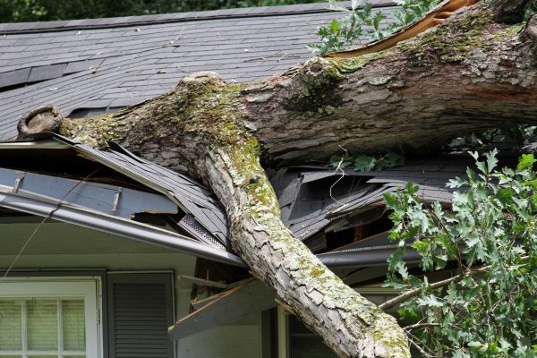 Storm Remediation in Little Elm
