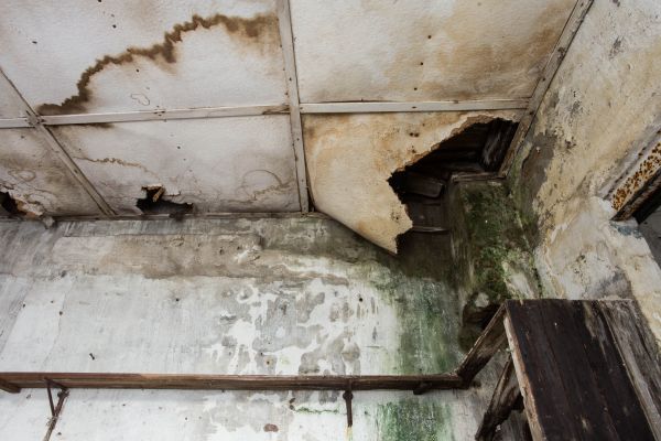 Water Damage Service in Little Elm