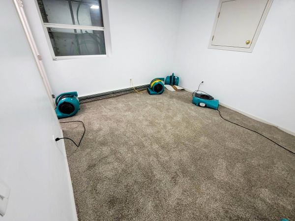 Flood Restoration Service in Little Elm